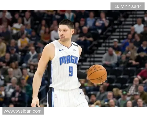 尼古拉武切维奇的艺术之旅与创作理念探讨